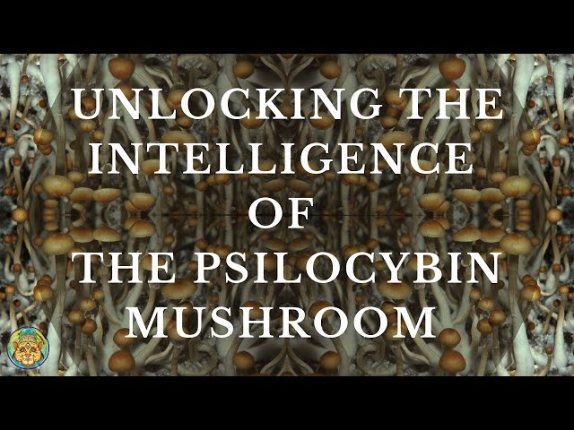 Unlocking The Intelligence Of The Psilocybin Mushroom | James W. Jesso