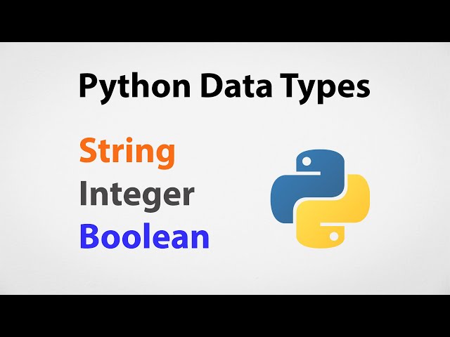 Most Common Data Types in Python | Python for Beginners
