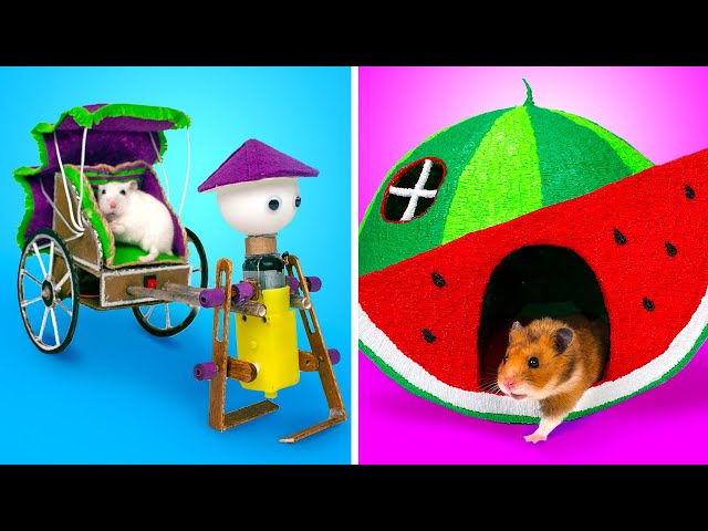 Fun DIY Crafts For Your Pet Hamster