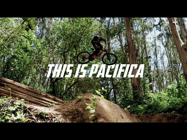 This Is Pacifica - The Stoked Company