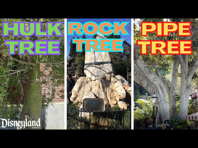 Top Ten Trees At Disneyland | Pipe Tree, Sensor Tree, Peter Pan Tree and more