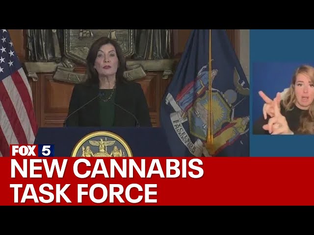 Gov. Hochul announces new cannabis task force