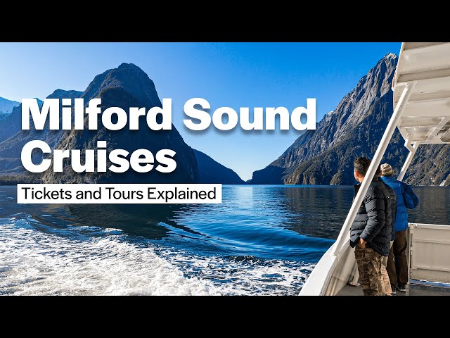Is Milford Sound the BEST cruise experience in New Zealand?