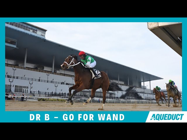Dr B. - 2023 - The Go for Wand