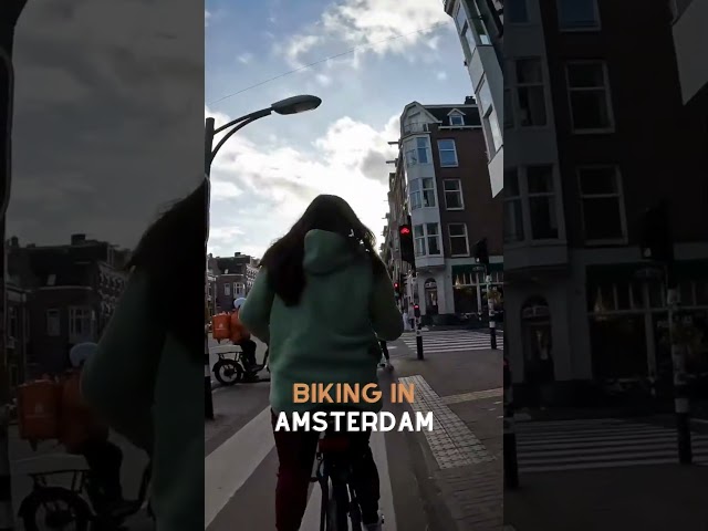 Amsterdam | Biking in a sunny day