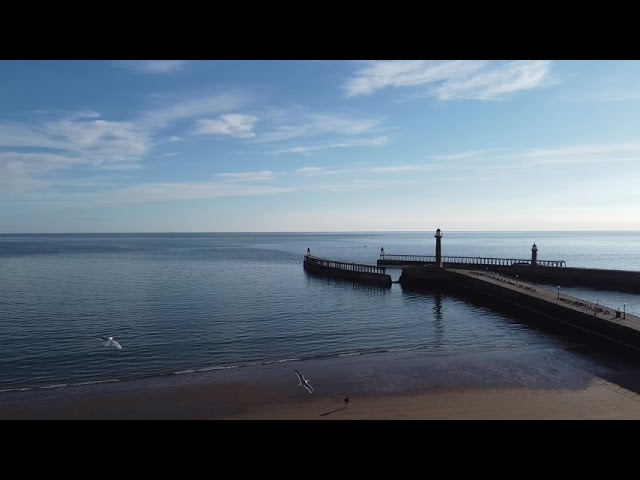 Near Miss! Seagull nearly takes out my drone!