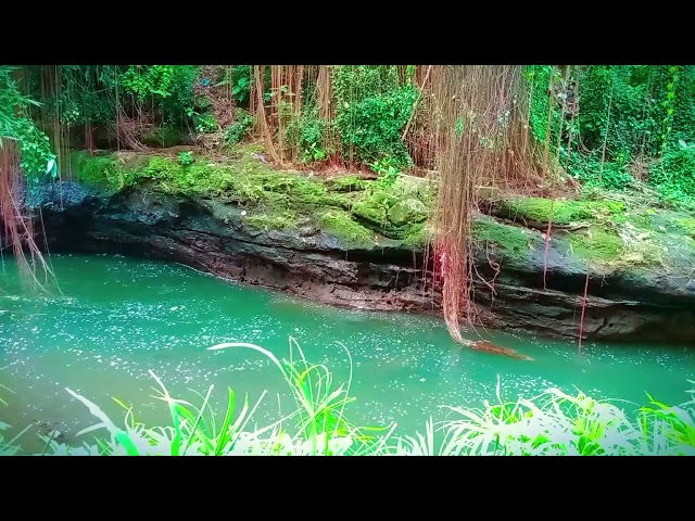 Forest river calming sounds for sleep nature healing meditation relaxing stress relief