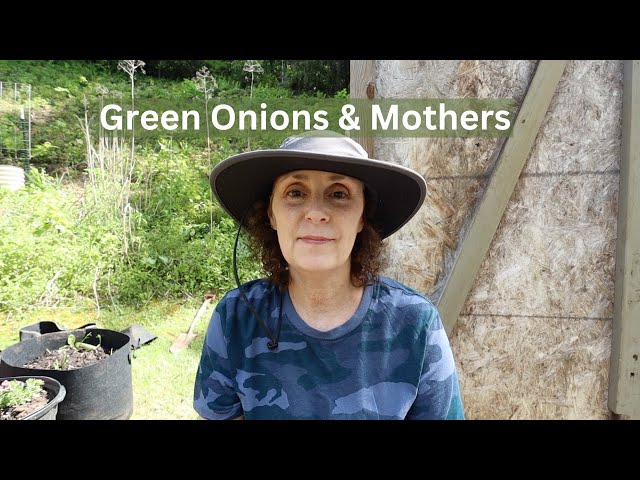 Planting Green Onions, Flowers, & Greasy Beans