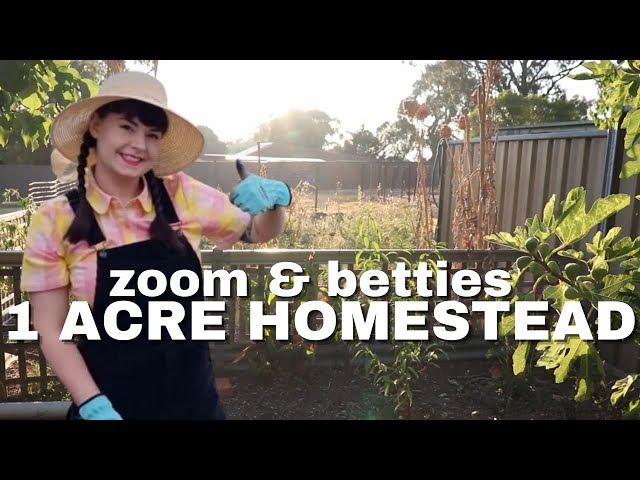 We left it far too long!  Let's get to work! - Our Aussie 1 acre homestead