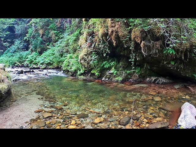 The most STUNNING streams are in IDAHO - INTRO to 3 weeks of camping/fishing - part 20