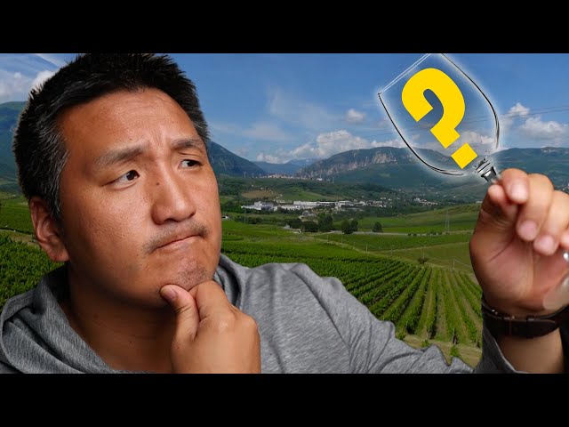 Does TERROIR really affect the taste of WINE???
