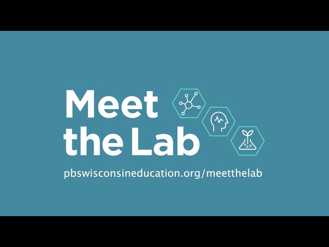 Let's Meet the Lab!