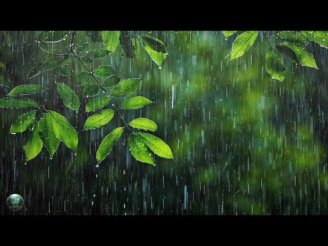 The Best Relaxing Piano & Rain Sounds Ever • Healing of Stress, Anxiety and Depressive States