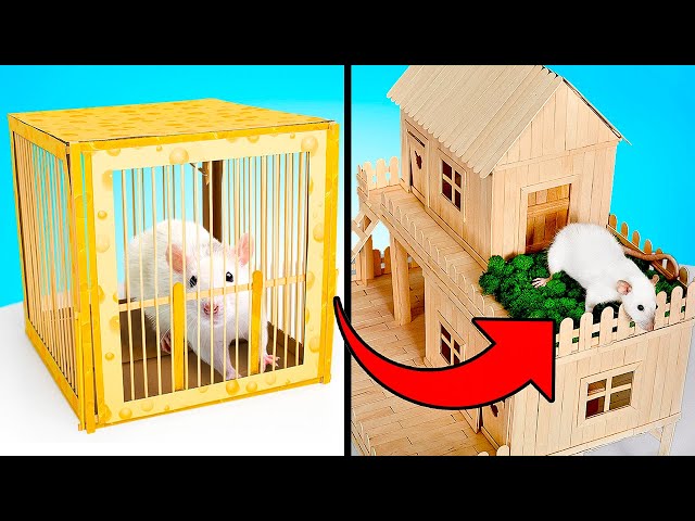 Harmless DIY Trap And House For Rat!