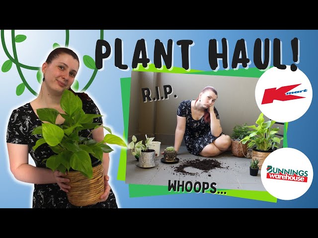 Buying & Potting Plants! | BUNNING'S WAREHOUSE & KMART HAUL