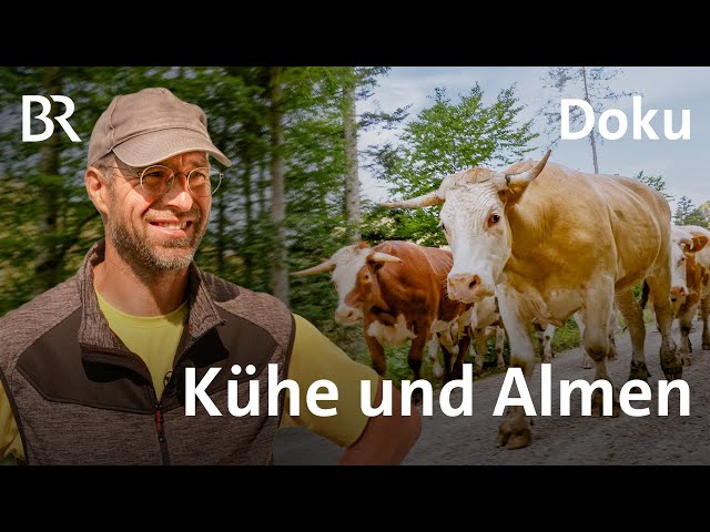 Von Kühen und Almen | Die Holzknechte 2/7 | Bergmenschen | Doku | BR | Bergbauern | Landwirtschaft