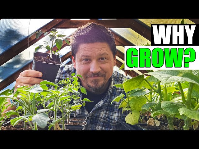 Why Grow A Garden?