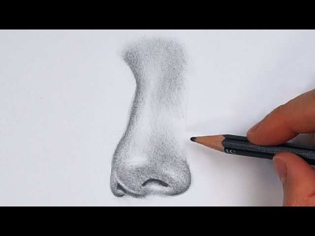 How to Draw a ¾ Nose - EASY
