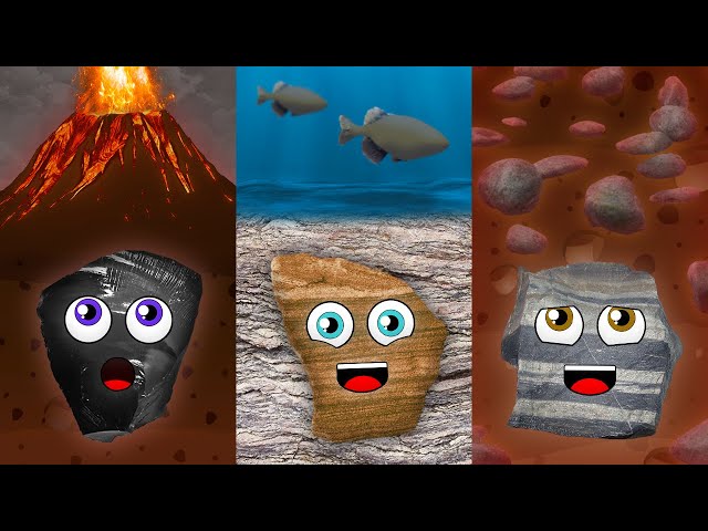 3 Types of Rocks and The Rock Cycle