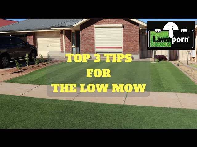 TOP 3 TIPS FOR THE LOW-MOW