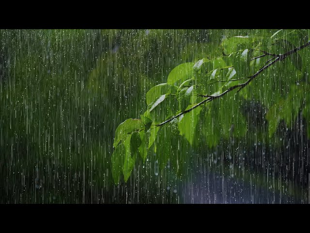 Rainy Piano Radio 🌧️ Relaxing Music with Rain Sounds, Deep Sleep Instantly