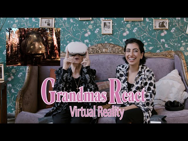 Armenian Grandmas in the Metaverse, VR Goggles