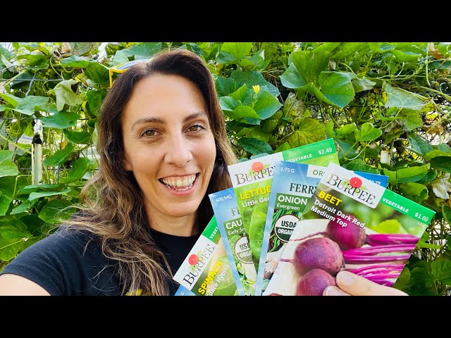What to plant in your October Florida Vegetable Garden? (September Harvest)
