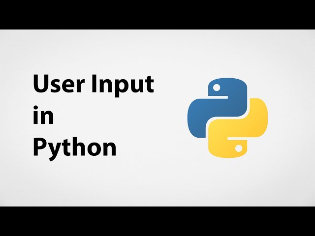 Getting User Input in Python | Python for Beginners