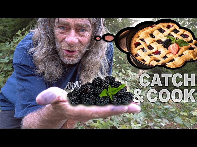 Catch and Cook Wild Blackberry Pie in the Bush