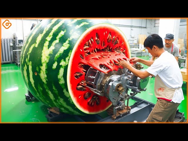 Modern Food Processing Machines Operating At An Insane Level ▶50
