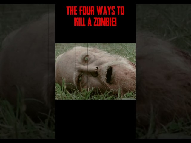 How to kill a Zombie! #scary