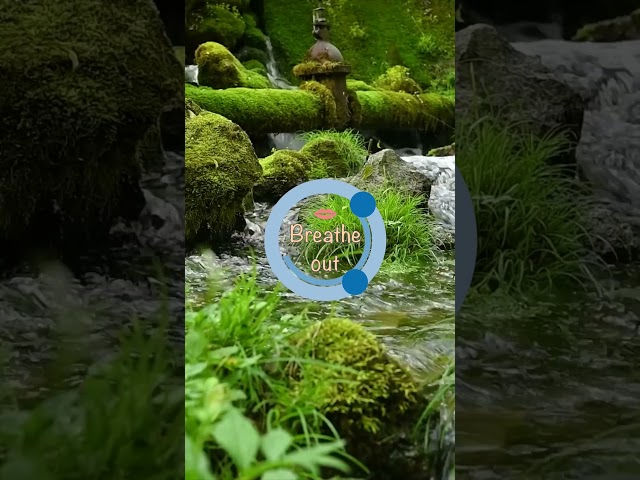 Relaxing Breathing Exercise to the sound of a Gentle Stream