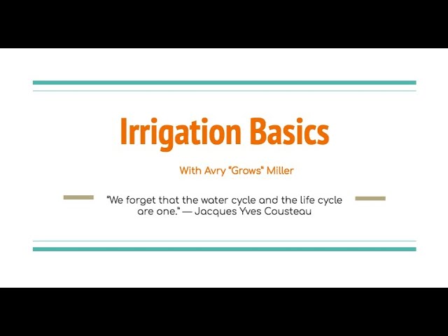 Irrigation Basics with Avry "Grows" Miller