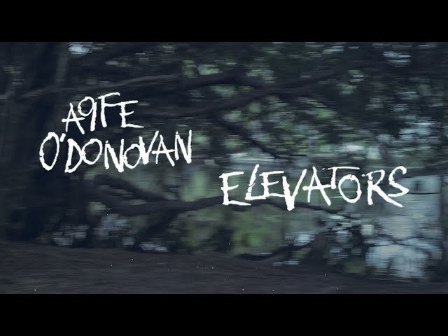 Aoife O'Donovan - "Elevators" [Official Audio + Lyrics]