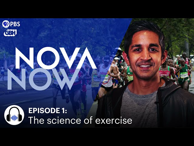 The Science of Exercise—and Getting Back in the Game I NOVA Now