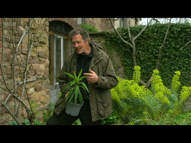 Gardeners' World Compilations 2023🍀 Episode 4