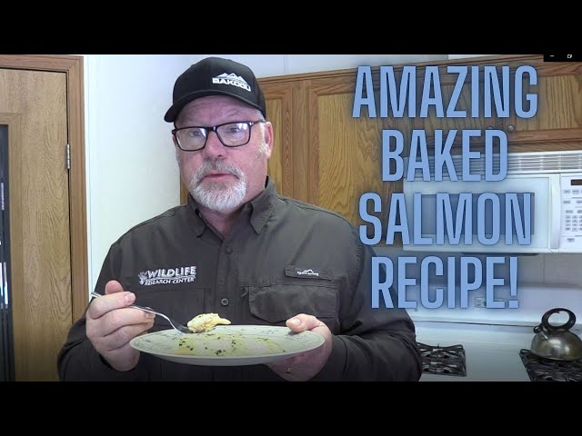 Amazing Baked Salmon Recipe!