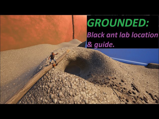 Grounded: Black ant lab guide.