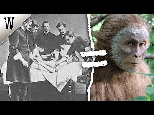5 Horrifying Cases of SCIENCE WE GOT WRONG