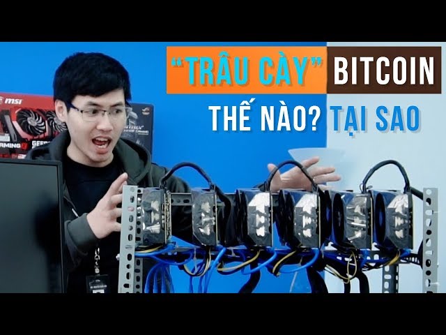 "Trâu cày" Bitcoin trông thế nào? Tại sao phải dùng VGA? | TNC Channel