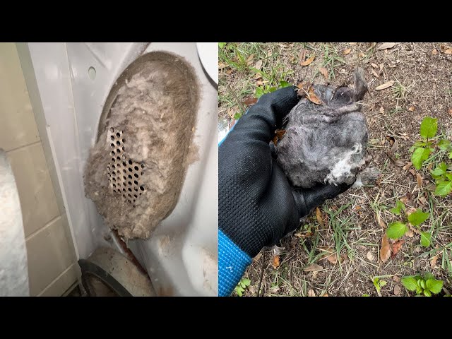 Watch Full Video! Animal Clinic Vent Cleaning
