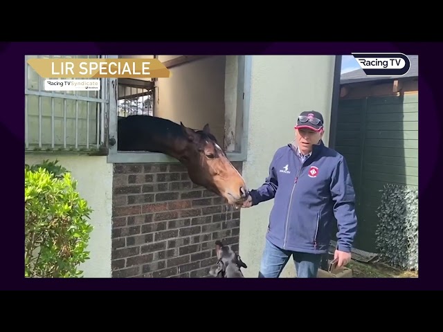 LIR SPECIALE - Getting closer to a first run - March 30th progress report on the Racing TV racehorse