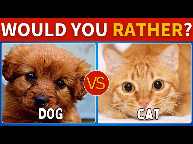 Would You Rather - Cats VS Dogs