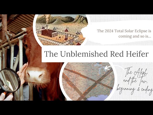 THE UNBLEMISHED RED HEIFER AND THE 2024 TOTAL SOLAR ECLIPSE