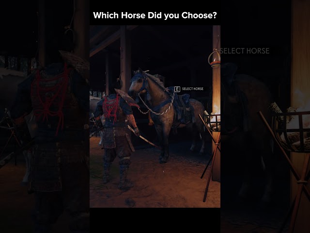 Which Horse Did You Choose?