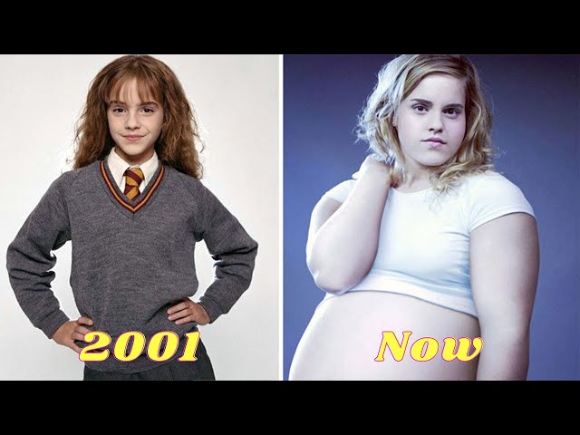 Harry Potter Cast - Then and Now (2024) - Real names and ages