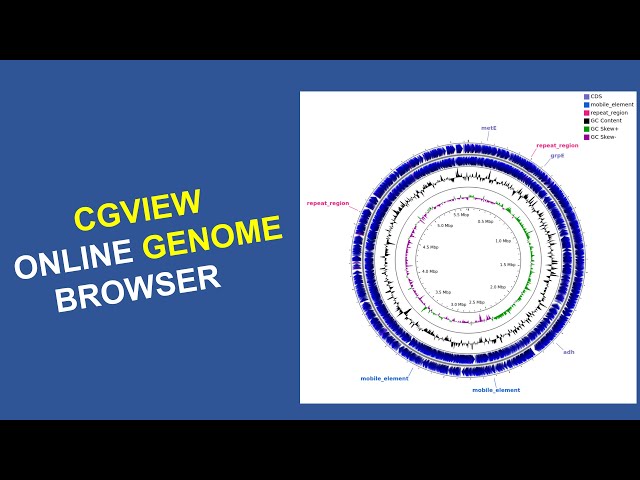 Bioinformatics for Beginners | Course | Genome visualization using the online CGView tool