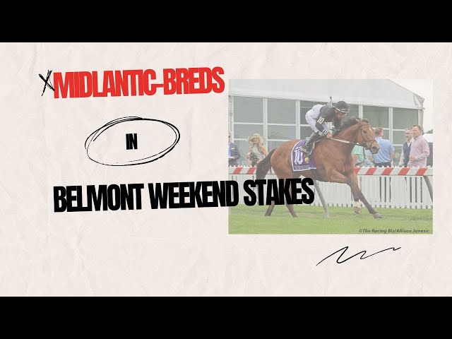 Midlantic-breds in Belmont weekend stakes