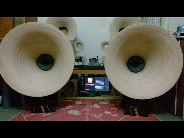 Horn speaker (Bamboo horn)