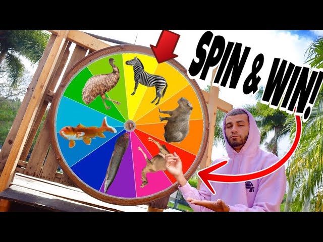 SPIN TO WIN!! BUYING THE ANIMAL IT LANDS ON!!